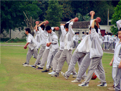 【雪纳瑞的训练方法】 怎样训练雪纳瑞的胆量