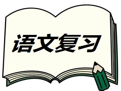 畫圖表,下定義,作詮釋,打比方,摹狀貌,作假設 3,關鍵語句的作用